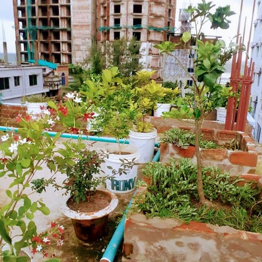Rain View Resort